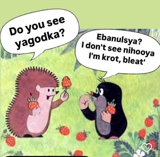 Веселые картинки к маленькой пятнице (23.10)