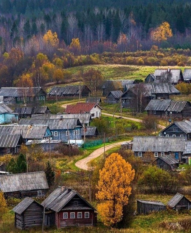 Прикольные и просто красивые картинки 29.10.2024
