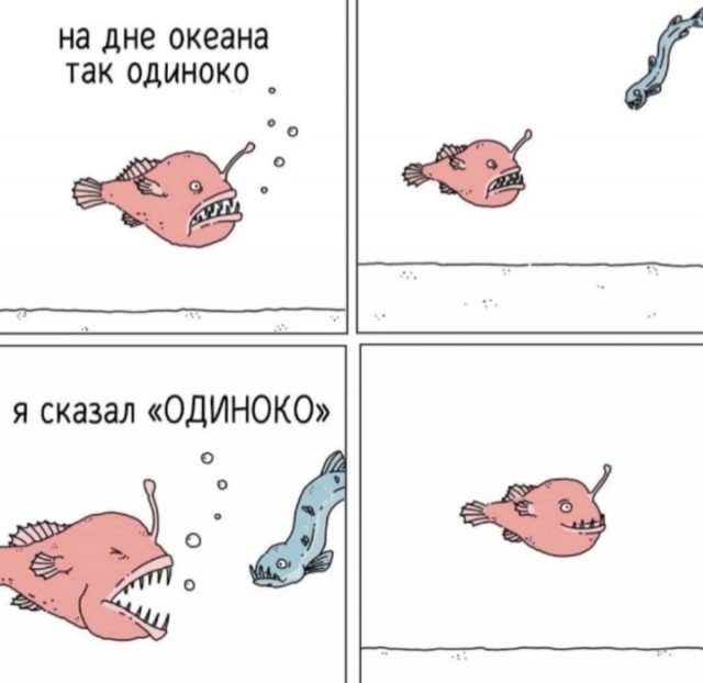 Всего понемногу. От 21.11.2024.