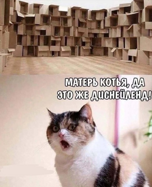 Так себе картинки 16.02.25