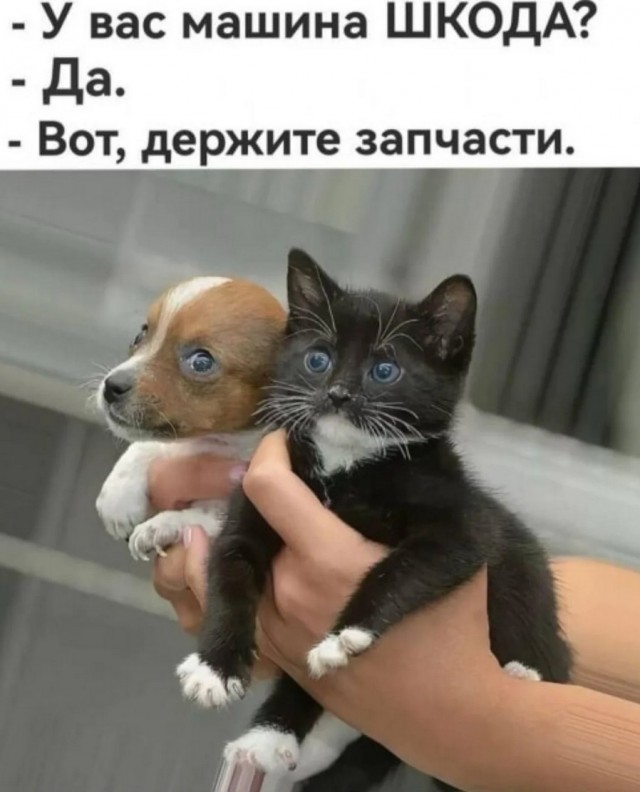 Завалялось тут случайно немного забавных картинок
