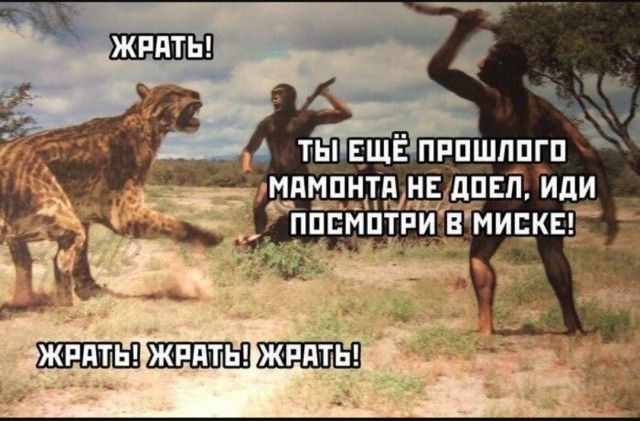 Завалялось тут случайно немного забавных картинок