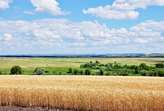 Донская степь