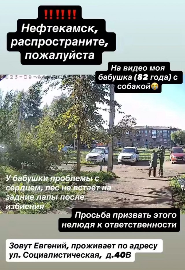 В Башкирии полиция ищет мужчину, напавшего на пенсионерку и её собачку на прогулке.