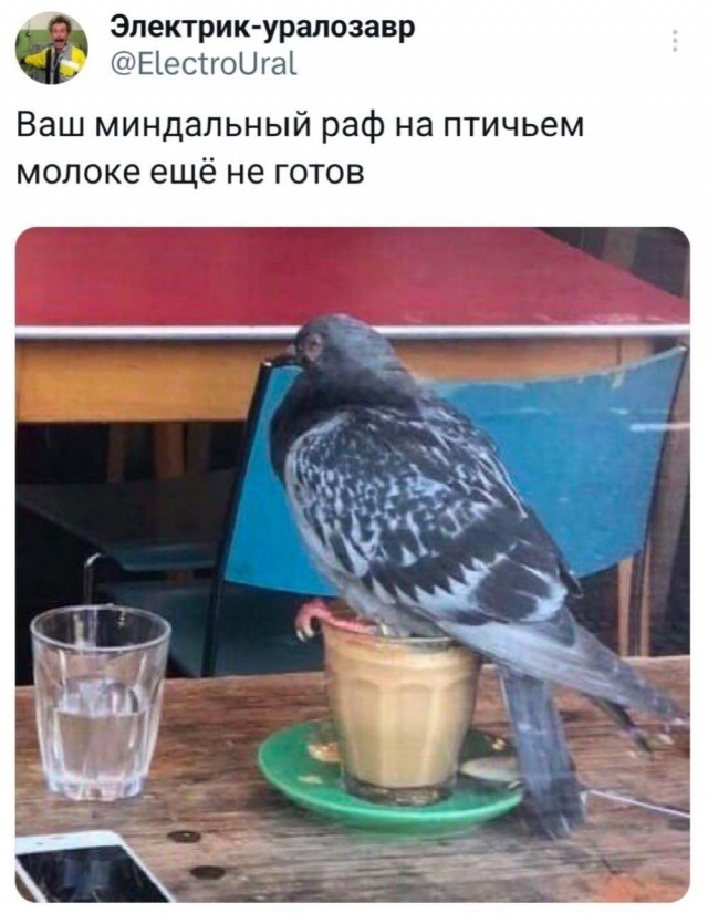 Картинки для деградации 52 (разной степени свежести)