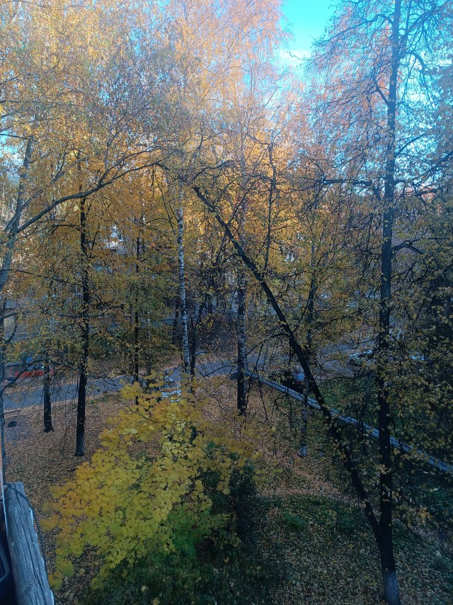 Вот и осень к нам пришла