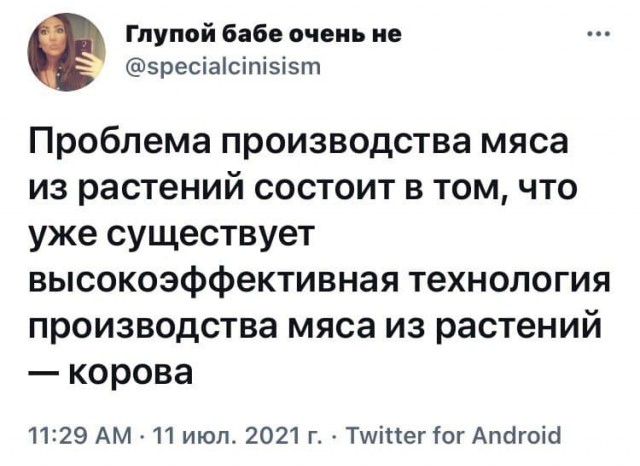 Люди, прогуливающие кладбище