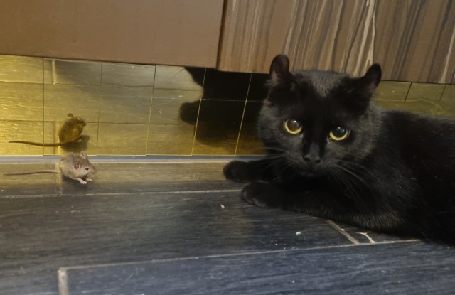 Девушки, всё еще ждете принца? Это ваше будущее.