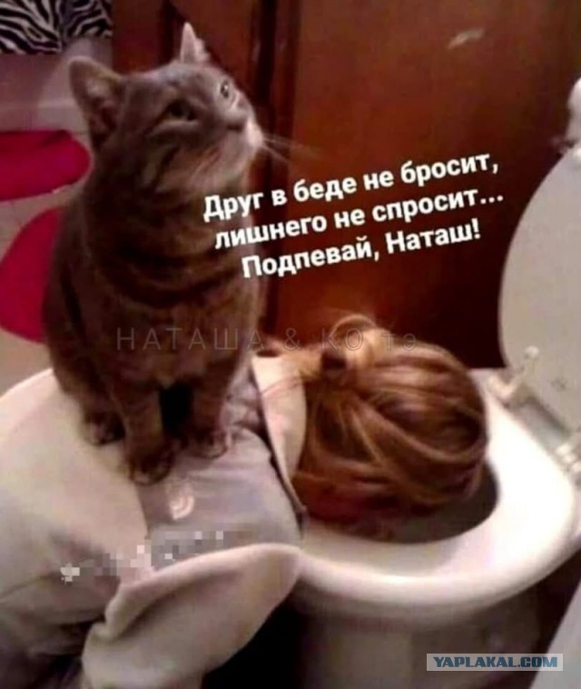 Картинки для деградации 121 (разной степени свежести)