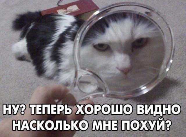 Тяжёлая пациентка