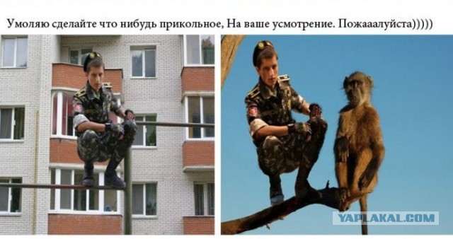 Смешные работы фотошоперов из социальных сетей