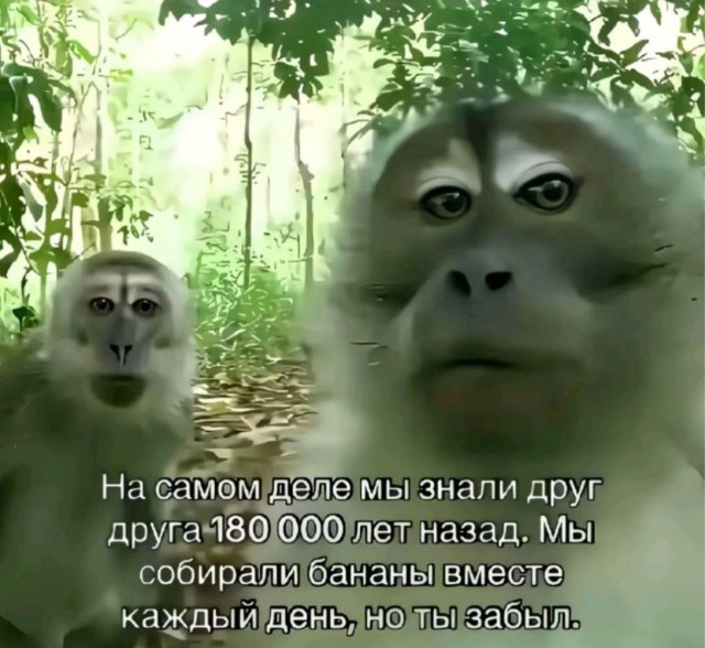 Вторника картинки