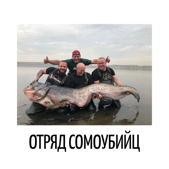 Игра слов в картинках 26.02.26