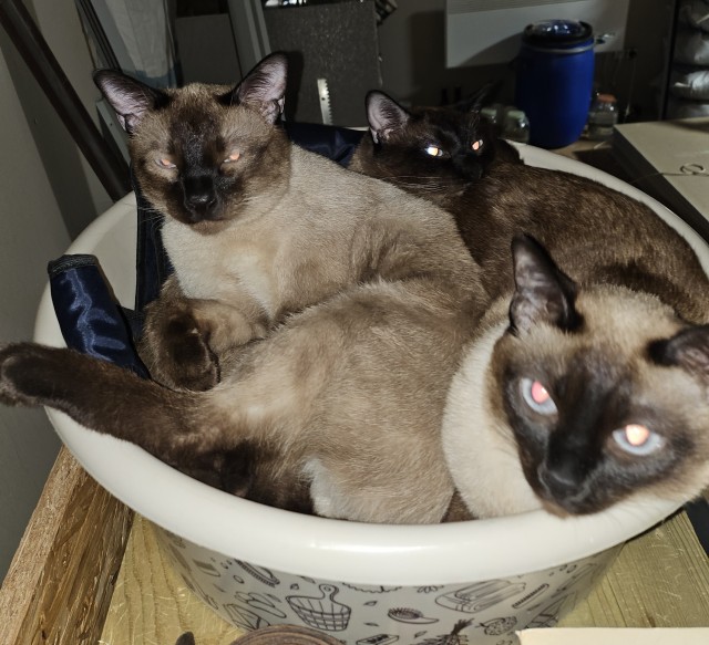 Машу ж вать! Наташа, помогите!