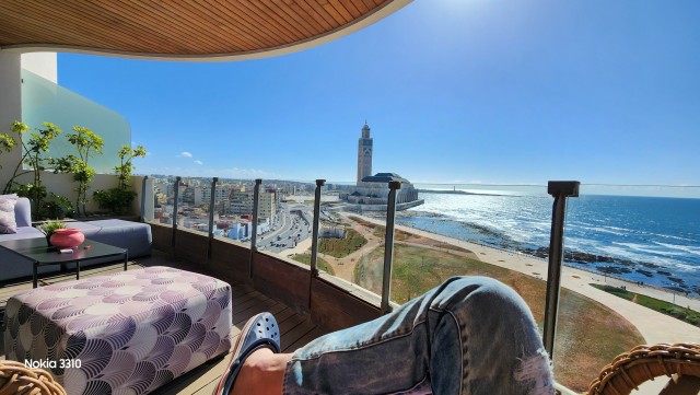 Уличные кошки Марокко