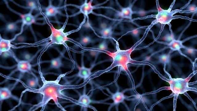 Создан искусственный нейрон, способный общаться с живыми клетками на их "языке"
