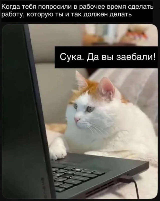 Веселые картинки в понедельник (30.03)