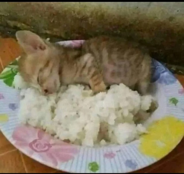Как всё это назвать?