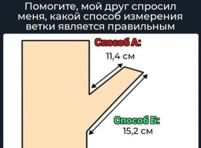 Картинки для деградации 193 (разной степени свежести)