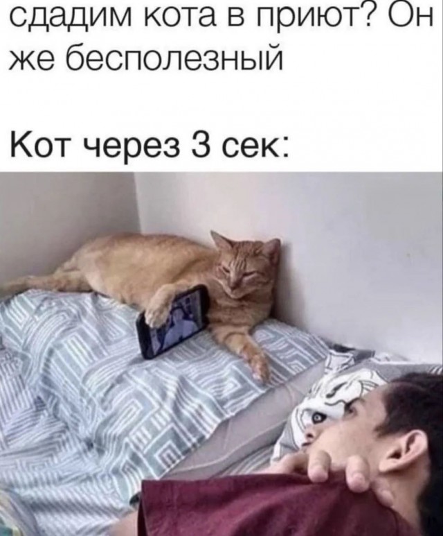 Так себе картинки 04.07.26