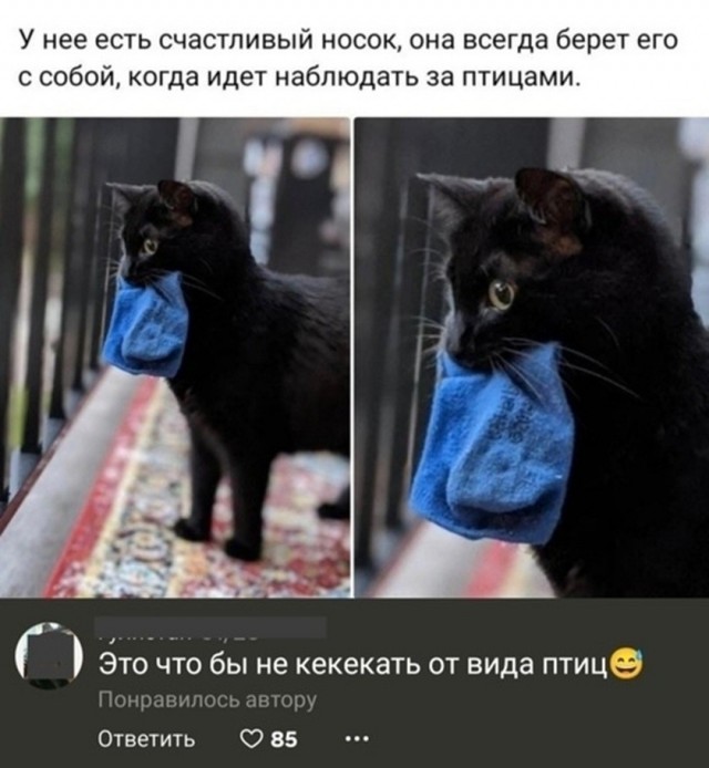 Так себе картинки 01.09.26