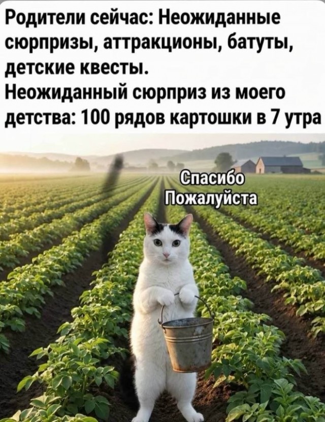 Веселые картинки в пятницу (30.10)