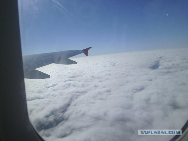 27 причин взять место у окна