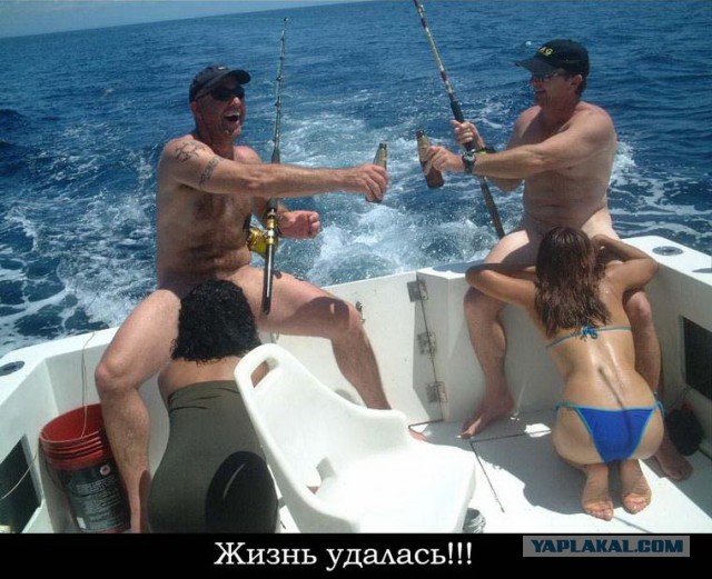 Когда жизнь удалась