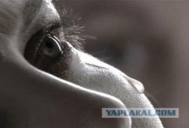 Грустно это, тронуло до глубины души