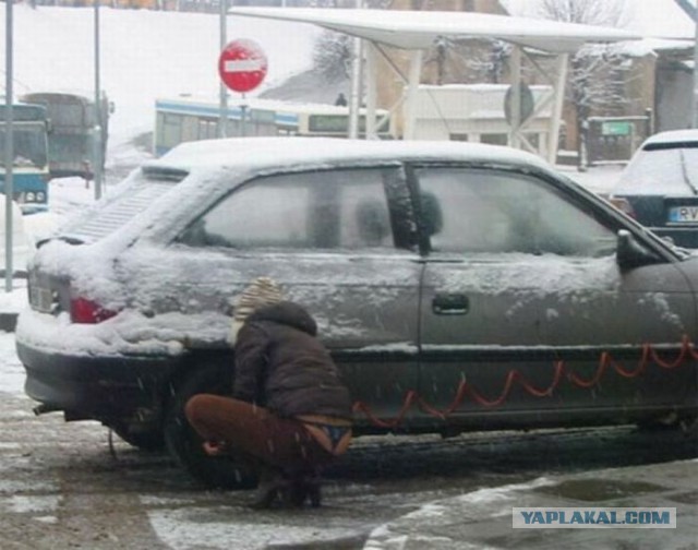 Весёлые картинки
