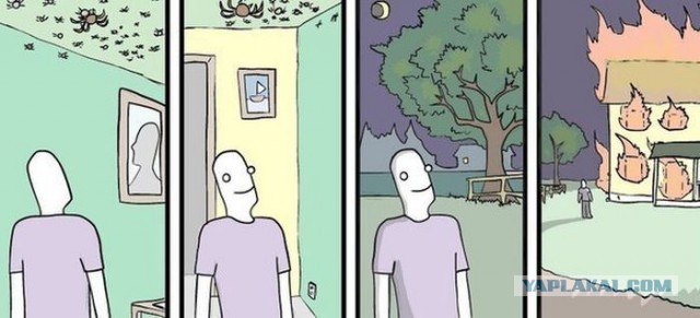 Кот и