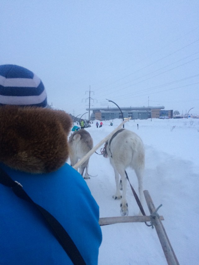 Зимники ЯНАО и ХМАО