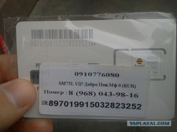 Что скрывают бесплатные сим-карты, которые раздают гастарбайтеры