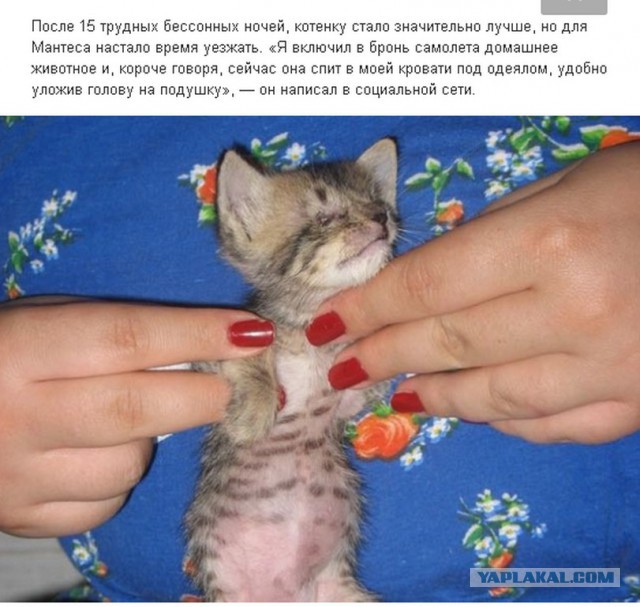 Забота о ближнем