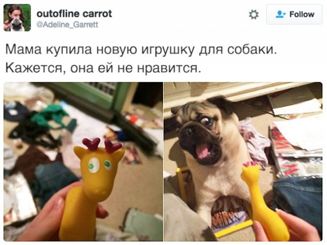 18 фотографий, которые сделают ваш день чуточку счастливее!
