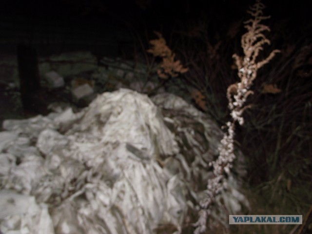 Дальневосточный гектар.  3-я  попытка.