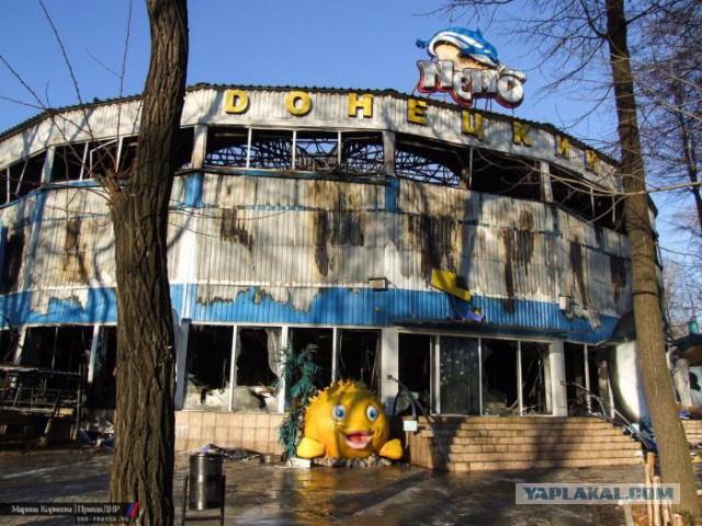 Зимний Донецк