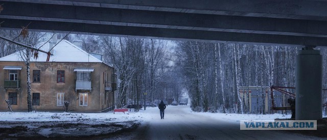 Долгопрудный (фото)