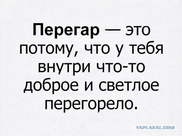 20 Смешных пикч