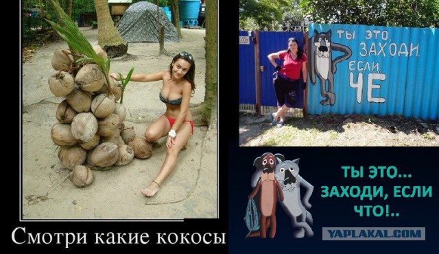 КОКОС 2.1. Голосование