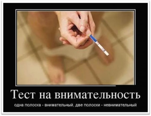Никогда не сдавайся