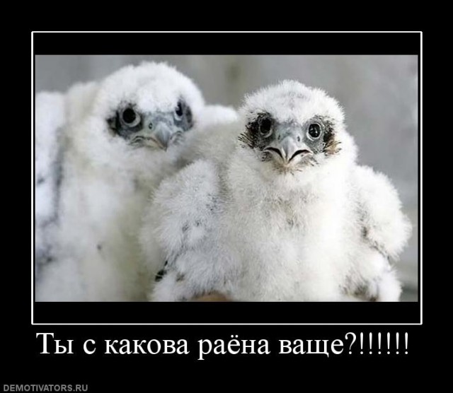 Вот и ЗИМА пришла в Челябинск! А какие у вас дороги сейчас?