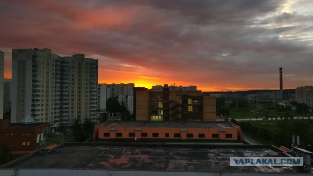 Беседка ФиС ЯПа
