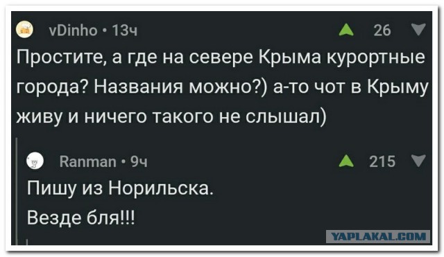 Смешные комментарии из социальных сетей 24.11.2017