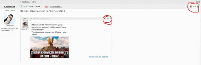 Работа не волк, но картинки сами себя не посмотрят!