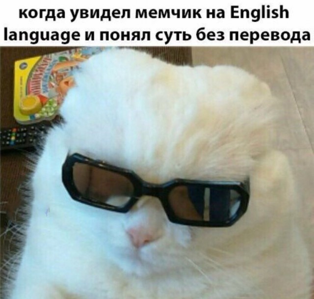 Нестандартный юмор