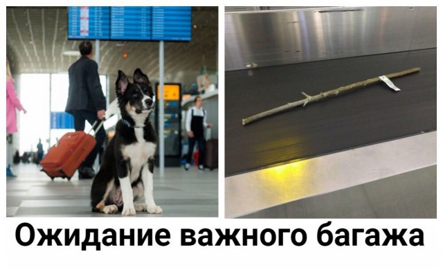 Специфический юмор
