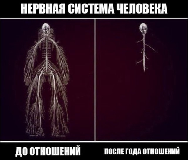 Картинок добавлю