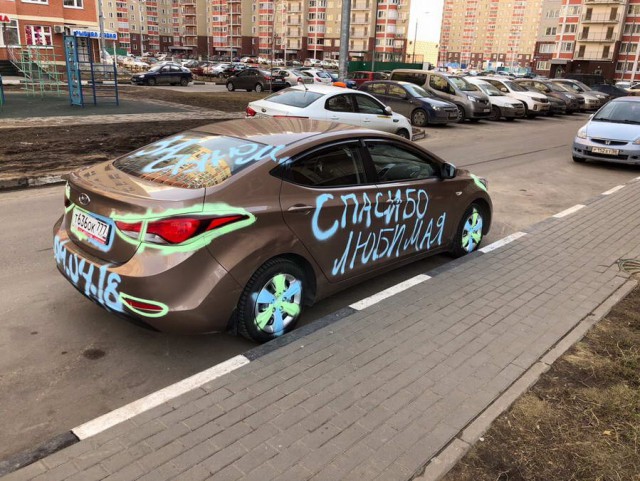 Скотсети и прочие интернеты 22.02.19