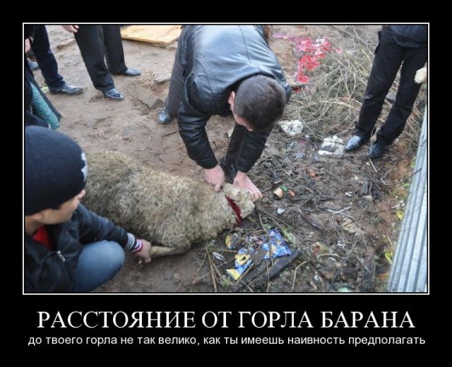 Баранов зарезали на глазах у детей в Новосибирске